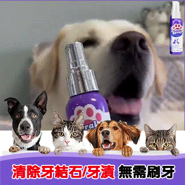 美國百萬熱銷 貓狗牙齒清潔噴霧/寵物不愛刷牙也不怕,植物成分可吞咽‼ 美國百萬熱銷 貓狗牙齒清潔噴霧/寵物不愛刷牙也不怕,植物成分可吞咽‼